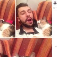 Слив Любовь Соболь