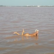 Слив Яны Даковой