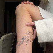 Слив Лины Косовой