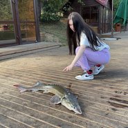 Слив Крисвейв