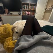 Слив Анны Пересильд