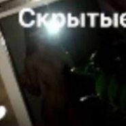Слив Цунами Бейби