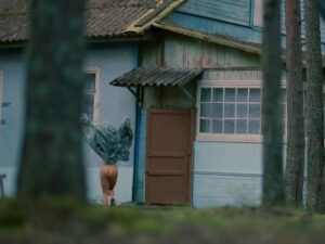 Ангелина Стречина